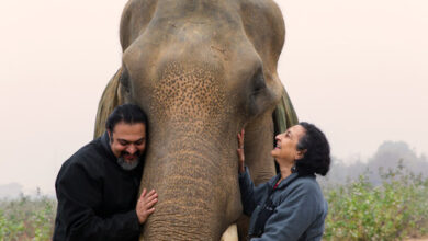 टूर फॉर टस्क्स कार्यक्रम में हाथियों के संरक्षण पर प्रस्तुति