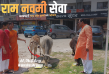 राम नवमी सेवा धनबाद में INSIGHT द्वारा पशुओं को भोजन वितरण