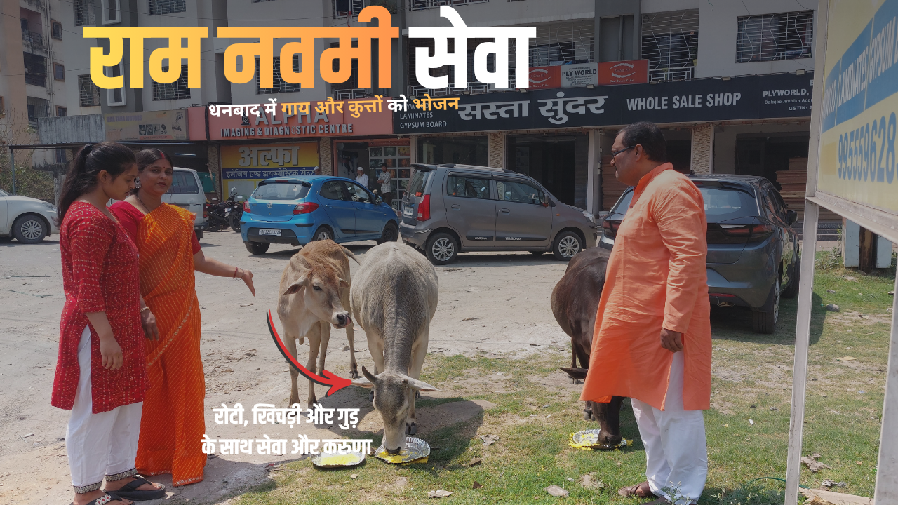 राम नवमी सेवा धनबाद में INSIGHT द्वारा पशुओं को भोजन वितरण